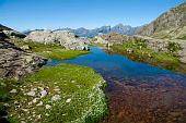 14 Primi passi del torrente Bondione